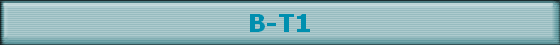 B-T1