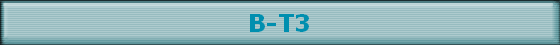 B-T3