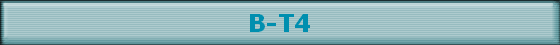 B-T4