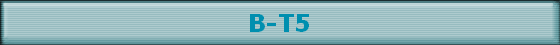 B-T5